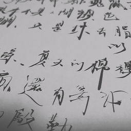 随写：在简书上记录生活的点滴