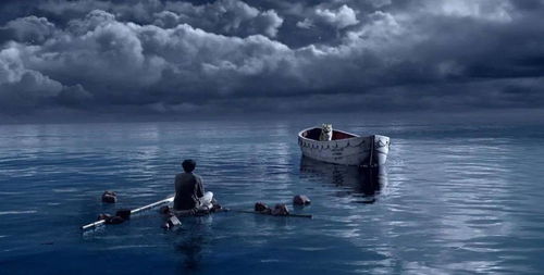 少年派的奇幻漂流：一场心灵与现实的碰撞