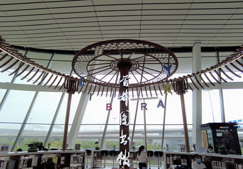 大兴机场图书馆：一场与书香不期而遇的邂逅