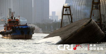 亲历黄浦江上的惊魂一刻：集装箱船与轮渡的轻微碰擦