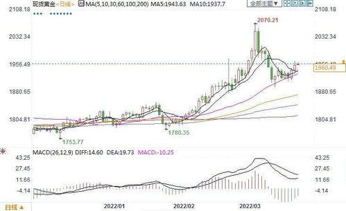 专家预测：金价或将突破3000美元，我的投资之路如何抉择？