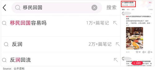 归途：一个中产移民的回国抉择