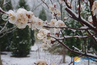 南方北方入春时间竟相差102天？我亲身经历的季节差异