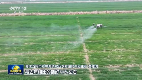 田间春管：科技赋能，让农耕焕发新活力