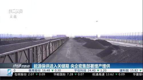 深度解析：中纪委系统整治的那些重点领域