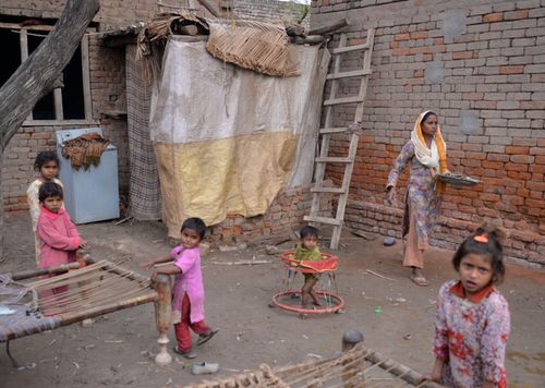 缅甸村民的艰难抉择：卖肾还债背后的辛酸故事