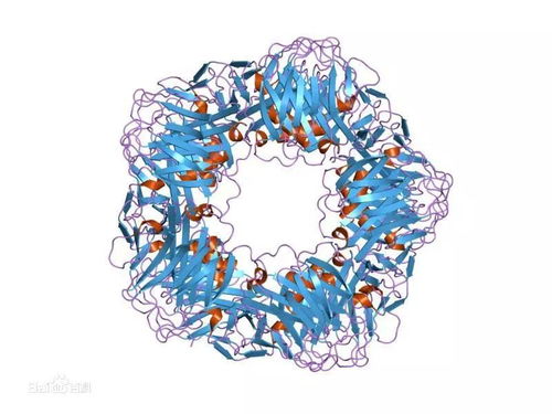 123-翟先生的干“肺”挑战：一场关于健康的自我探索