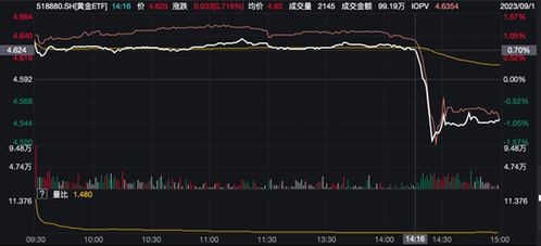 揭秘！业内人士分析金价跳水背后真相