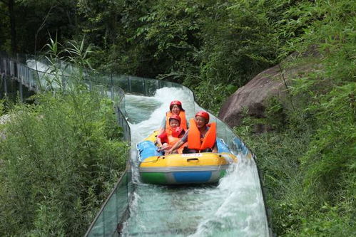 峡谷探秘：一场与自然的深度对话