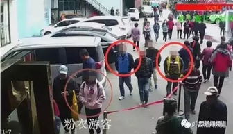 游客雪天被困无人区？成都文旅紧急通报事件真相