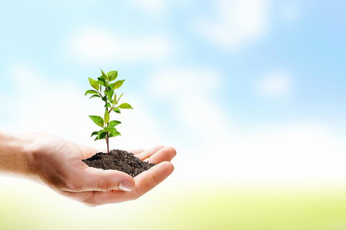 保持耐心，心怀希望：时间终会为努力的人正名