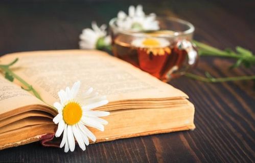 十句诗词写尽人生沧桑，你在哪一步？