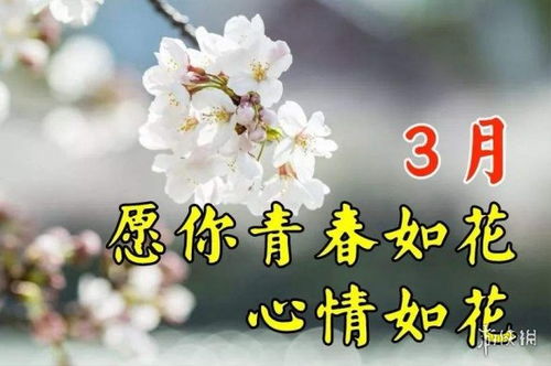三月第一天，与春天的浪漫邂逅