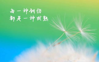 对过去说再见，不负春日好韶光