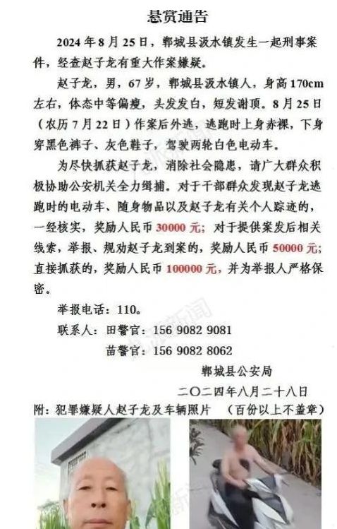 清晨的问候：写给叶子的温暖早安文