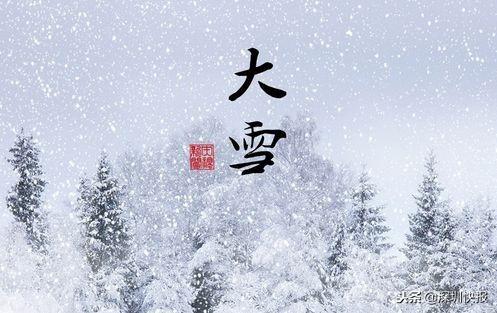 大雪与幻象：一场关于诗歌的纯粹之旅