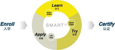 听系统的重要性：从个人成长到高效决策的秘密武器