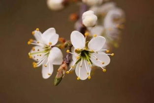 如何选择最适合的免费大片调色视频软件？快速了解7款热门免费视频编辑工具