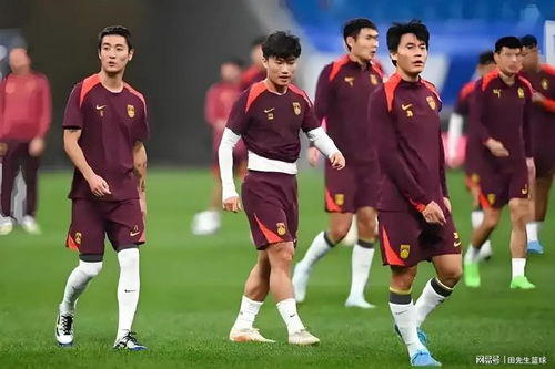 国足新一期集训名单出炉：球迷热议背后的故事