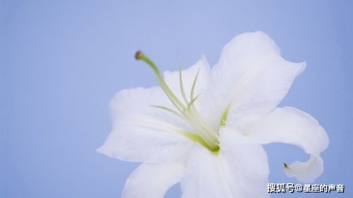 多情七月：一场关于成长与回忆的旅程