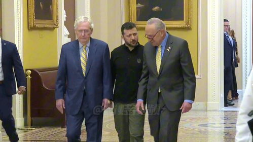 泽连斯基访美背后：一场国际政治的深度解读