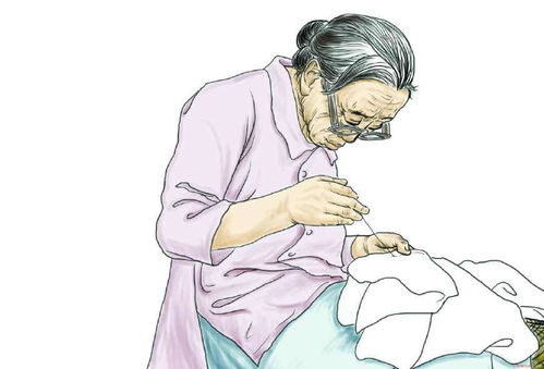 轮流奉养年老父母：一场关于爱与责任的深刻思考