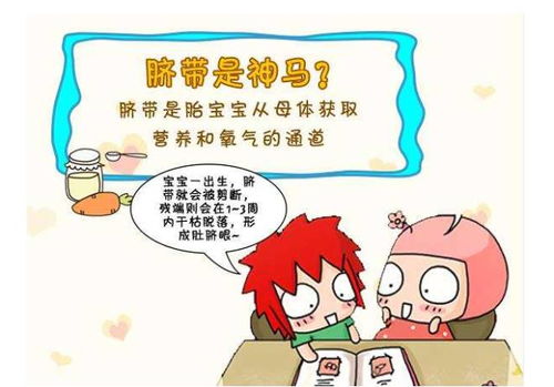 体倦乏力不用愁，崇文中方来拯救！