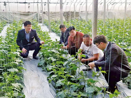 以“精准滴灌”激活乡村振兴的“红色动能”：一个实践者的思考