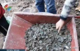 意外惊喜！村民老屋拆迁挖出近40斤重娃娃鱼