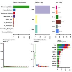 用maftools包分析突变数据，绘制瀑布图：小白也能轻松上手