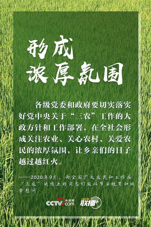 聚焦“三农”：我从总书记叮嘱中读懂的责任与担当