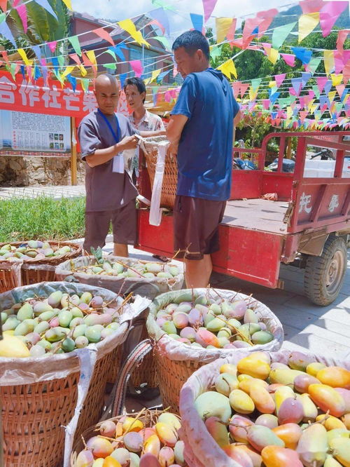 中西部农村光棍潮：大龄男青年的婚恋困境与村长的忧虑