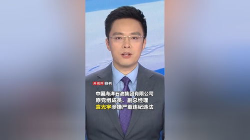 深度解析：袁光宇被查事件背后的那些事儿
