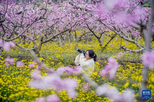 春光正好，不负韶华——在简书上记录的点滴
