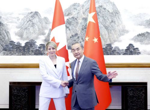 加拿大外长的呼吁：盟友必须与乌克兰合作，我的视角解读