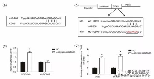 别忽视！抗体检测中酶标物污染防控的重要性