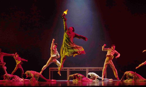 各行各业开跳胜利之舞：他的独特视角