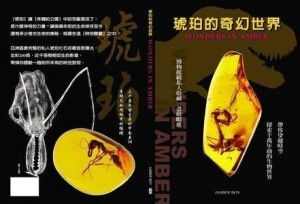 奇幻职场故事15|《琥珀》：在办公室里发现的神秘力量