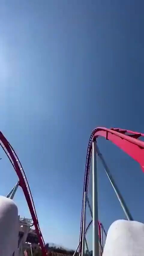 风驰电掣的随笔人生：一场与时间赛跑的灵魂之旅