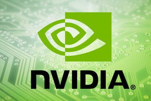 英伟达财报后股价大跌，背后隐藏了什么真相？