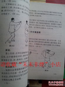 长拳术语与杨丽太极拳的智慧交融：一场身心的修行