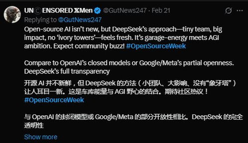 深度参与DeepSeek开源周：我的生态共建之旅