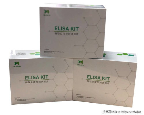 小白也能看懂的白细胞介素4检测全流程揭秘