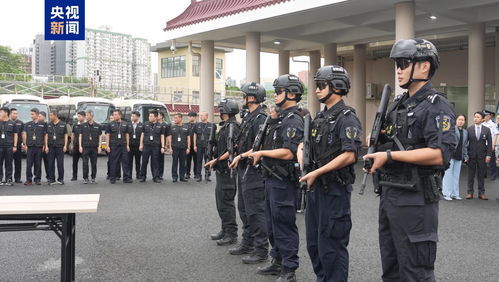 揭露真相：多人摆拍卖惨造谣被查处的内幕