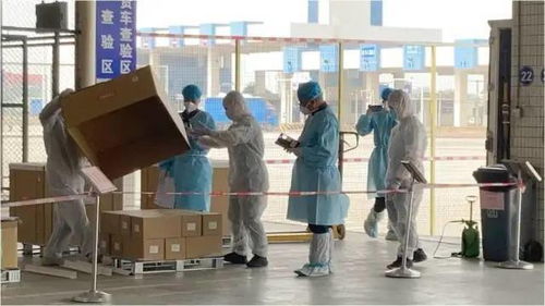 为了生存，他冒着疫情深入非洲：一段刻骨铭心的人生旅程