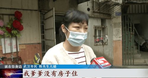 七旬大爷的深情：每天去墓前看望相伴50年的老伴