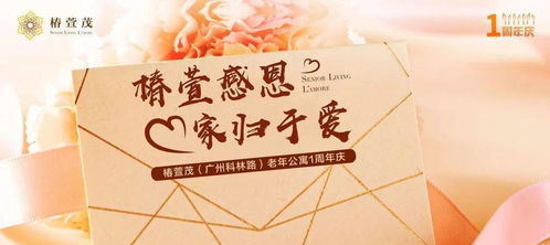 写在一周年：那些成长中的点滴与感悟