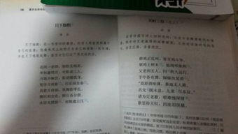 初中生活第181天：那些藏在平凡中的闪光时刻