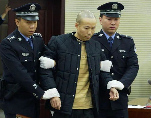正义的裁决：河南女法官遇害案凶手被执行死刑