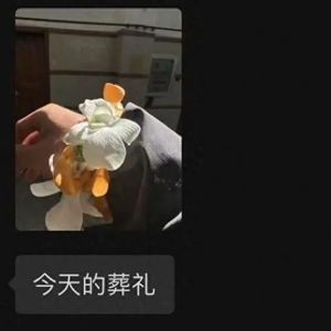 方大同最后的告别：那些未说出口的话语